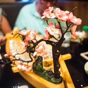sushi, sushi and sashimi, food, sashimi