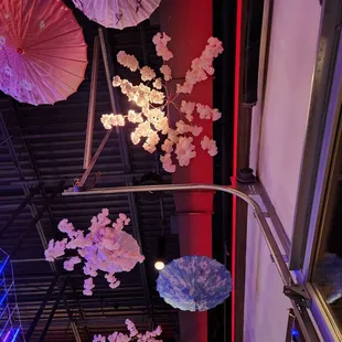 Ceiling. I love cherry blossoms