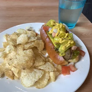 City Slicker Vegan Dog