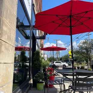 Lovely in the shade with an iced latte