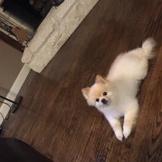 Angel M.