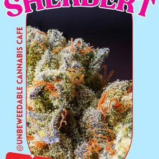 Rainbow Sherbert Now Available @Unbeweedable! This indica dominant hybrid is 30% THC. Pick up this high testing strain before its gone!!!