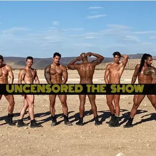 Come meet Christian, Andriy, Darrien, Ross, Yulian, Eduard, Richard &amp; Karoy.