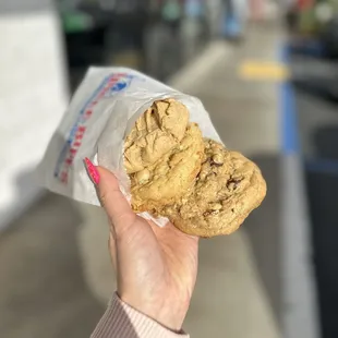 a hand holding a cookie