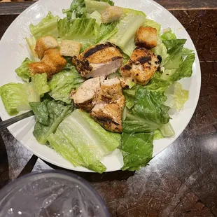Classic Caesar Salad with chicken