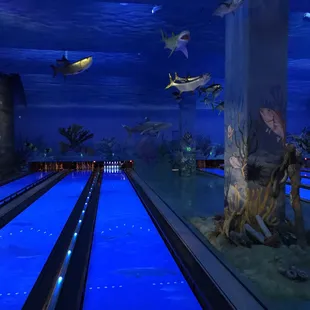 sushi and sashimi, interior