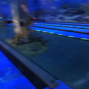 sushi and sashimi, outside