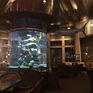 Giant fish tank!!  :)