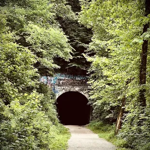 the entrance to the tunnel