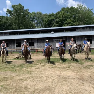 Our group of horses: Zoe, Tiny, Autumn, Rogue, Shae, and Beauty!