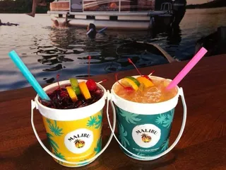 Brass Pelican At Holiday Lakes