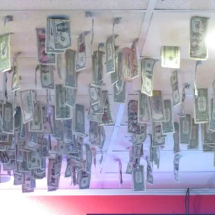 Bills hanging from the ceiling