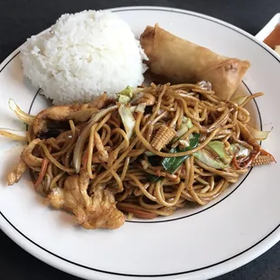 Chicken Lo Mein and Spring Roll