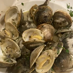 Steamed Clams