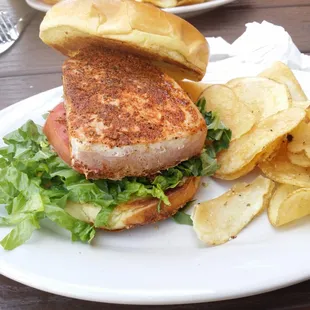 a sandwich and chips