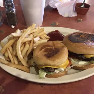 I got a jumbo burger and a small burger. Best burger in TX. I can't get enough of it.