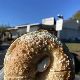 Salt Bagel
