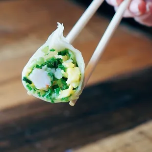 Handmade Dumplings