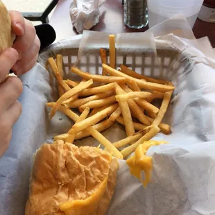 Kids grilled cheese and fries.