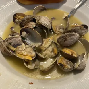 Steamed Clams