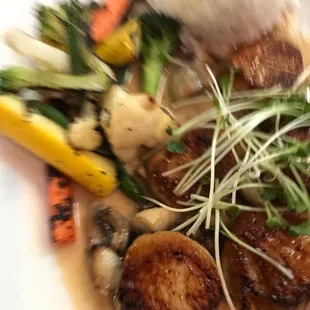 Scallops, not bad but wouldn&apos;t order again