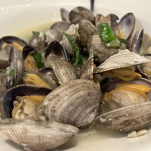 food, oysters and mussels