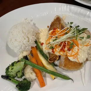 Mahi Mahi Fish