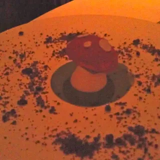 Uri P.
