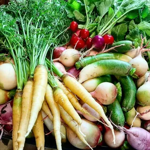 Root vegetable harvest from our farm.