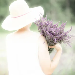 Lavender farm u-pick