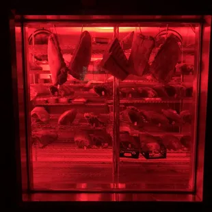 Meat Locker