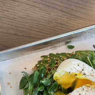 Avo Toast