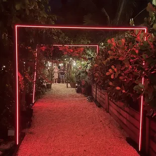 a pathway with red lights