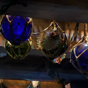 Blowfish above the bar