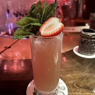 Captain's Apprentice