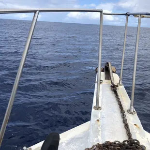 Chilaxin' on board between dives.  Whales off the port side.