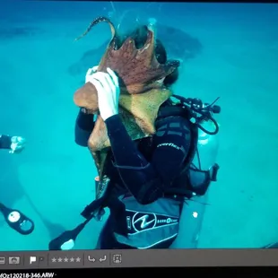 Octopus wanting to try out scuba first hand! Lol!