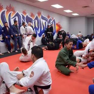 Jiu Jitsu training in full swing!