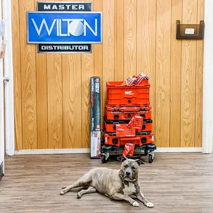 Looks like someone's got a case of the Mondays. Fortunately, the rest of us here at Unicoa are ready to help with all of your supply needs!