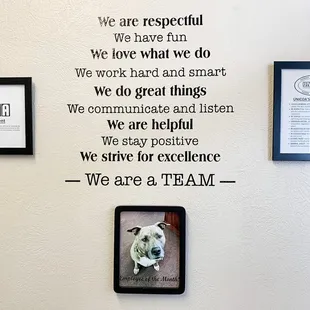 Meet our multiple month winner of 'Employee of the Month' and office mascot, Bailey!