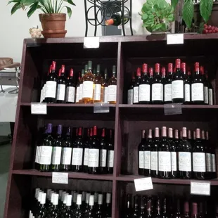 We have 50 different wines.