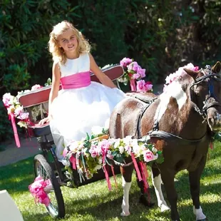 Princess carriage