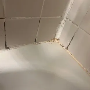 Mold