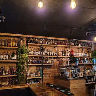Quite the selection!