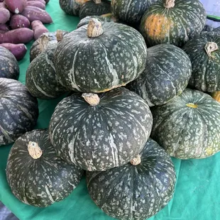 Kabocha