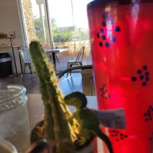 a cactus in a cup