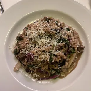 Filet Mignon Risotto