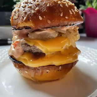 a cheeseburger on a plate