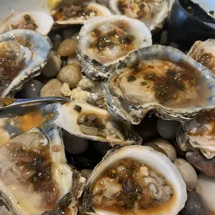 Oysters