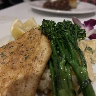 Halibut